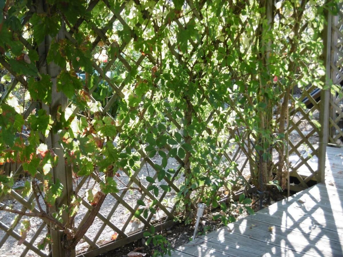 Le Chat Qui Peche B&B Chateauneuf-la-Foret Exterior photo