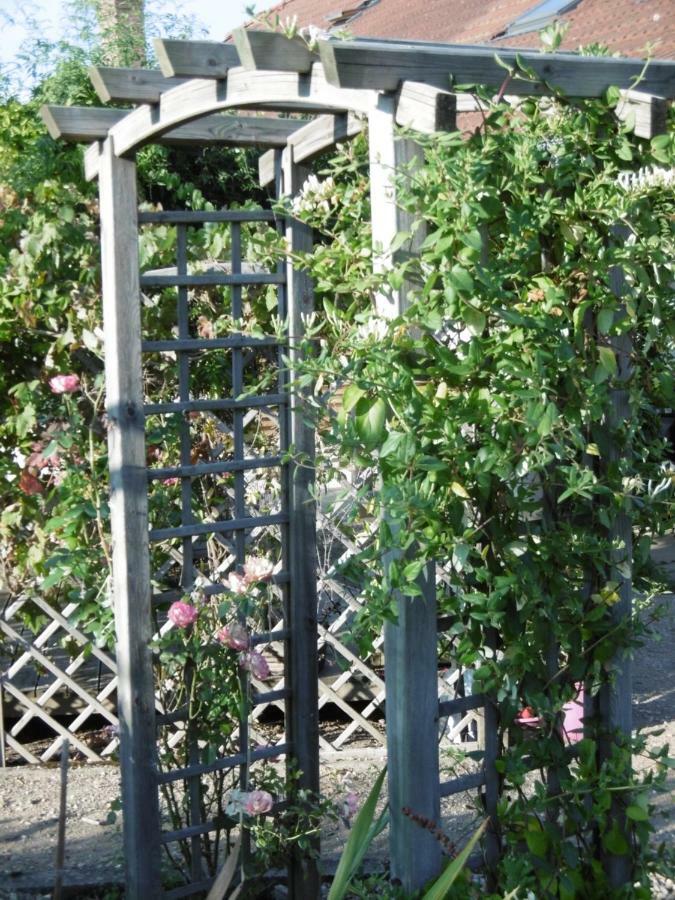 Le Chat Qui Peche B&B Chateauneuf-la-Foret Exterior photo